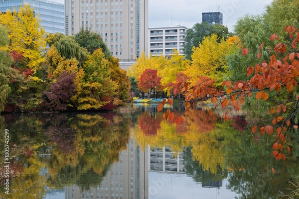 Obraz 秋彩映す中島公園の湖畔