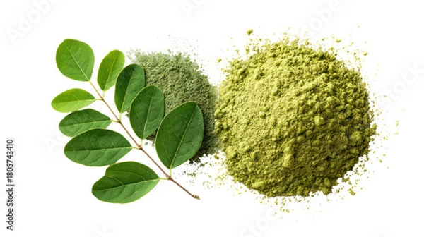 Obraz Natural moringa leaves and finely ground moringa leaf powder on transparent background