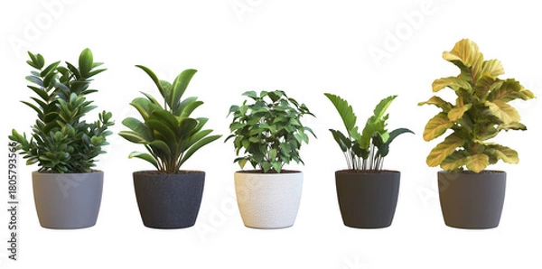 Obraz A display of five diverse indoor plants in stylish pots. various foliage textures and colors. set against a clean. minimalistic background ideal for home decor inspiration