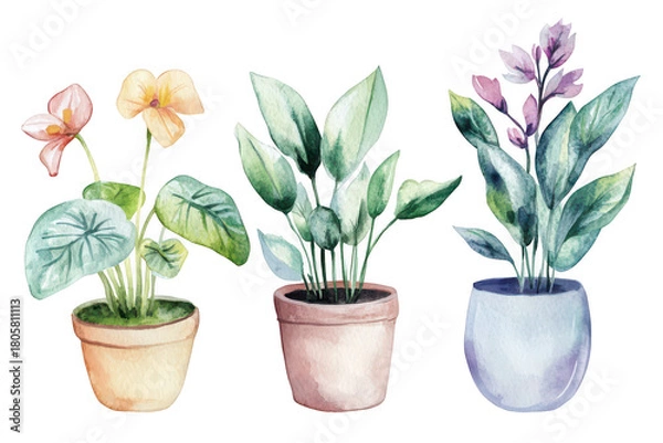 Obraz A watercolor illustration three distinct potted plants with colorful flowers and lush green leaves. set against a clean white background. ideal for home decor or gardening themes