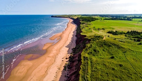 Fototapeta Aerial view of a beach with red cliffs meeting lush green fields on a sunny day