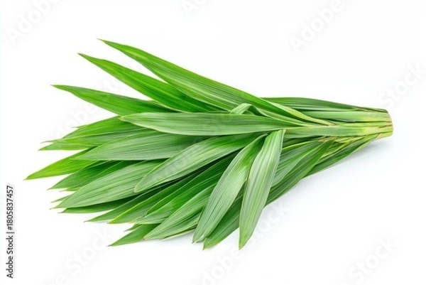 Obraz Fresh Pandan Leaves on White Background
