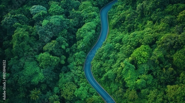 Obraz Winding road through a dense green forest captured from a high angle