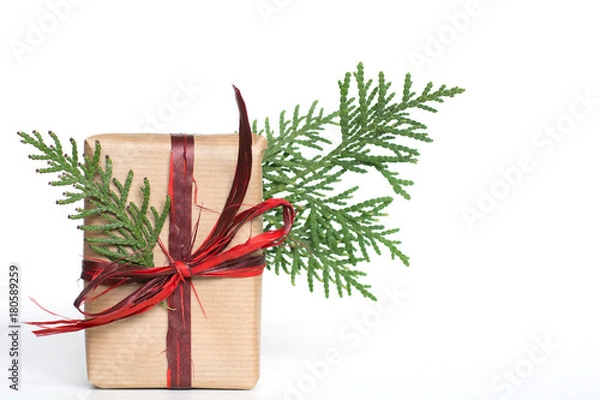 Obraz Christmas present isolated 