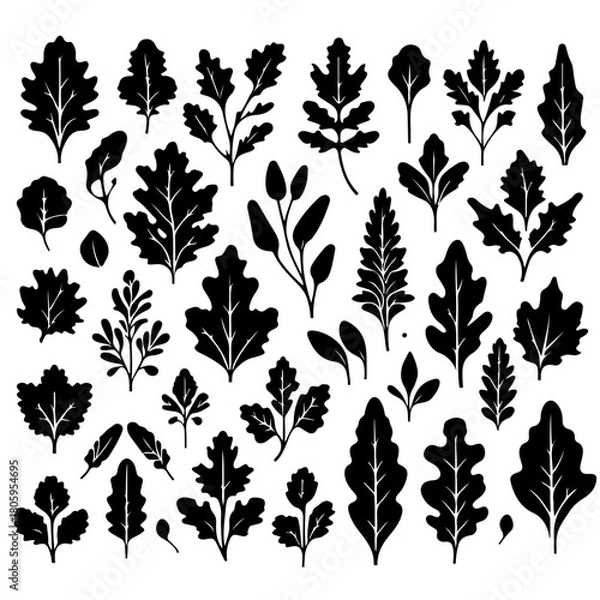 Fototapeta Collection of various black silhouette leaves and branches on a white background in a vector format