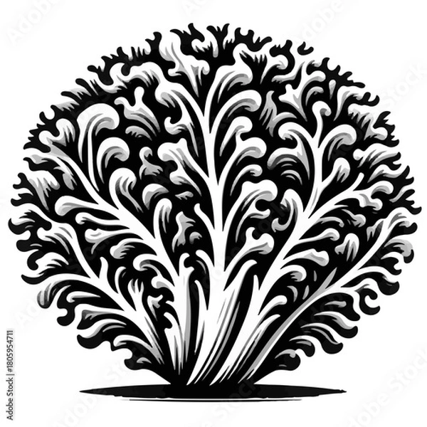Fototapeta Stylized monochrome illustration of a bushy tree with intricate leaf details and a rounded crown shape
