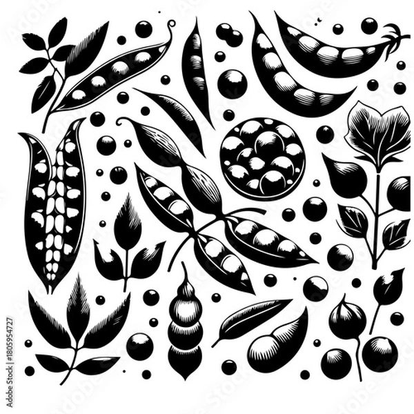 Fototapeta Illustration of various pea pods and leaves in a monochrome style with detailed shading and textures