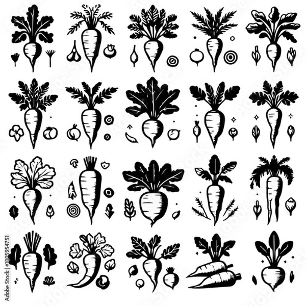 Fototapeta Collection of black and white drawings of turnips with different leaf styles and small decorative elements
