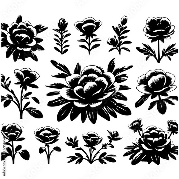 Fototapeta Black and white floral arrangement featuring various types of flowers and foliage in a pattern design