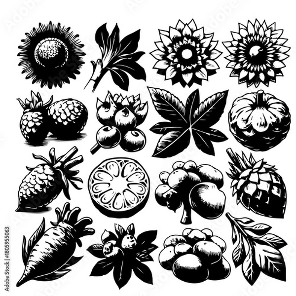 Fototapeta Illustration of various fruits flowers and leaves in black and white with an ink drawing style effect