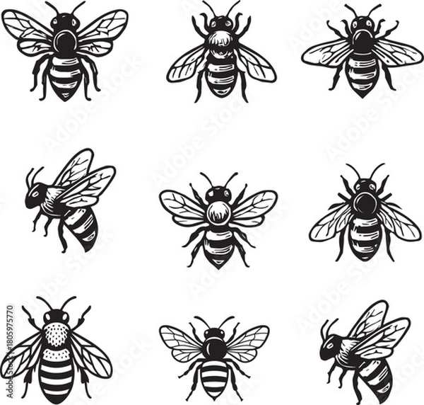 Obraz  hony bee set vector icon 