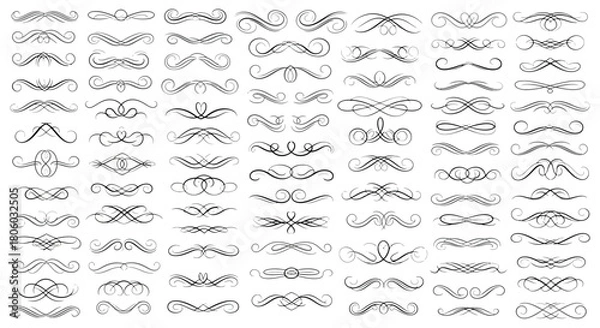 Fototapeta Elegant Collection of Swirls and Flourishes for Decorative Design Elements