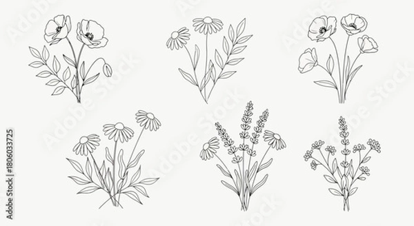 Fototapeta Elegant Line Art Floral Arrangements Delicate Poppy, Daisy & Lavender Bouquets for Design