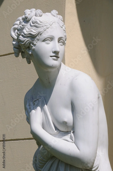 Obraz Marmurowy posąg