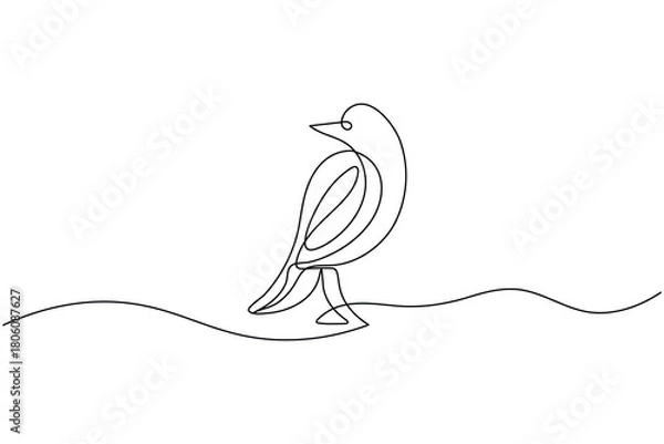 Obraz Bird couple continuous one line drawing minimalist outline vector illustration
