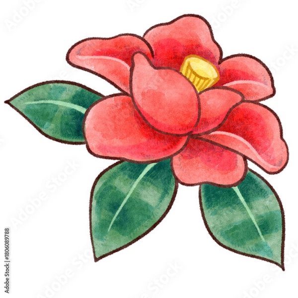 Obraz 椿の花の手描きラスターイラスト