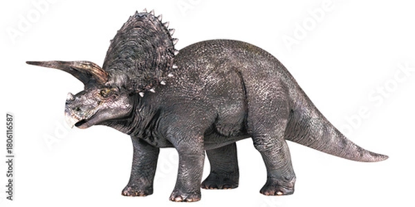 Obraz Realistic Triceratops dinosaur depiction