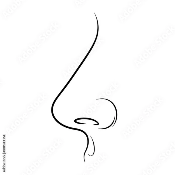 Fototapeta Minimalist line art of a human nose isolated on white background