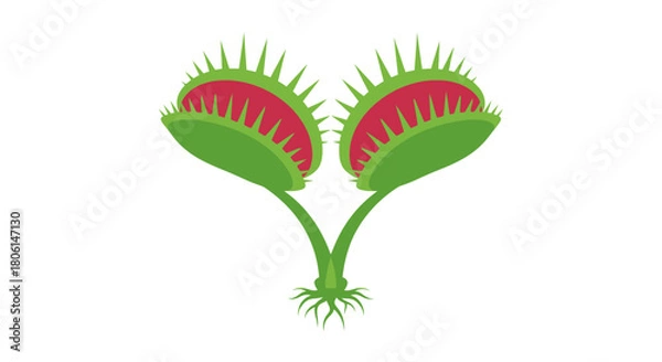 Obraz Illustration of a Venus flytrap plant with open traps, showcasing its distinctive green and red structure.