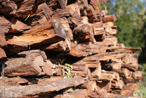 Obraz Stack of Firewood Logs – Natural Wooden Texture Background