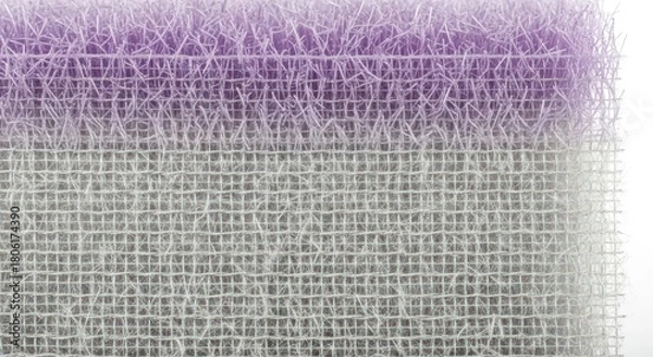 Fototapeta A closeup of a purple and white scrubbing pad, showcasing its texture and design, isolated on white background