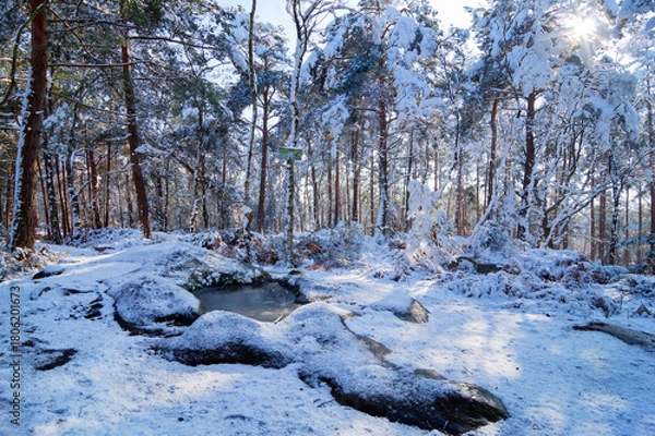 Fototapeta Devil's sink stone in the Apremont Gorges