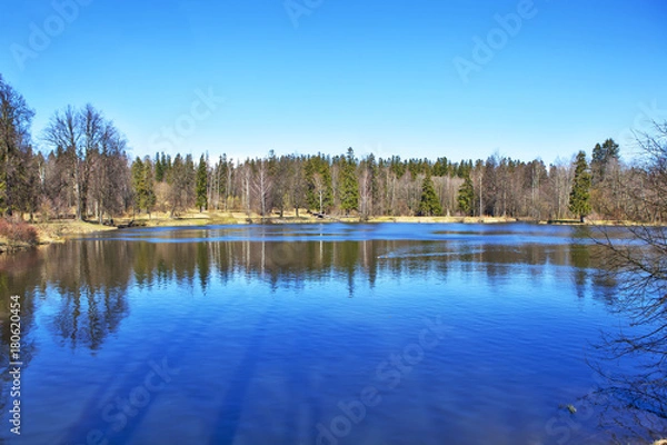 Fototapeta Пруд «Рубаха Наполеона». Шуваловский парк. Санкт-Петербург
