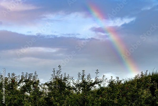 Fototapeta rainbow in the sky