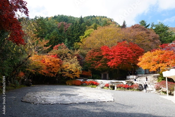 Obraz The autumn leaves during this season are beautiful