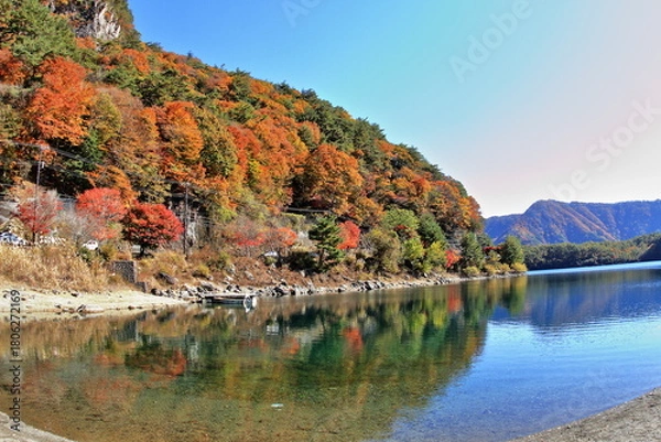 Obraz The autumn leaves during this season are beautiful