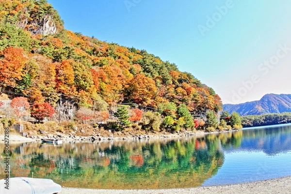 Obraz The autumn leaves during this season are beautiful