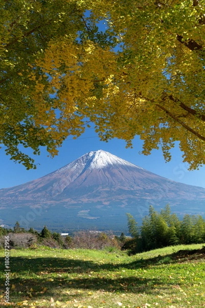 Obraz The autumn leaves during this season are beautiful