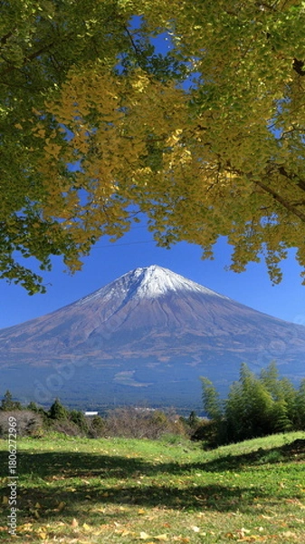 Obraz The autumn leaves during this season are beautiful
