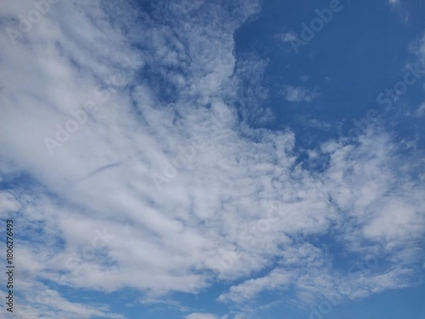 Obraz 東京のそら(25.11.19）