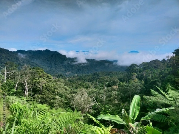 Fototapeta Green mountain landscape with dense forest vegetation under a bright blue sky, showing the beauty of natural tropical scenery.