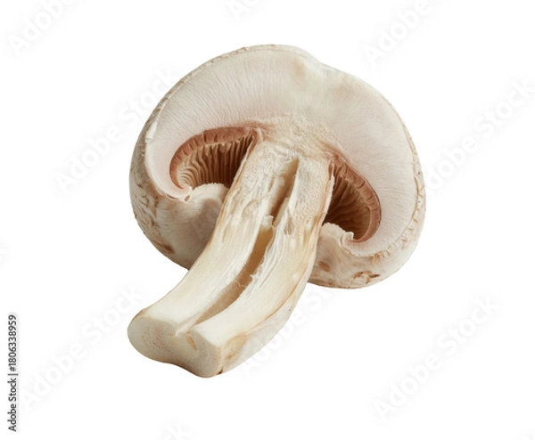 Fototapeta sliced mushroom isolated on white background.
