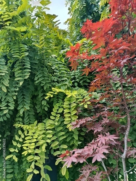 Obraz Green leaves background