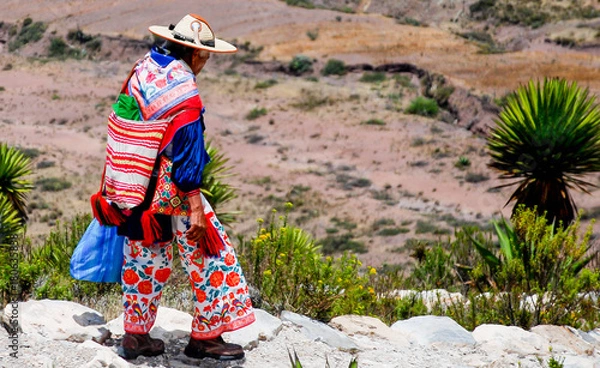 Fototapeta Portrait Huichol in Real de 14