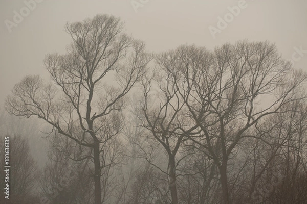 Obraz Smog