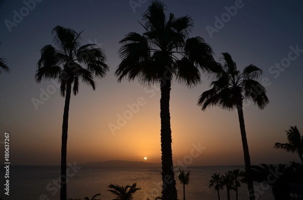 Obraz Romantic Sunset