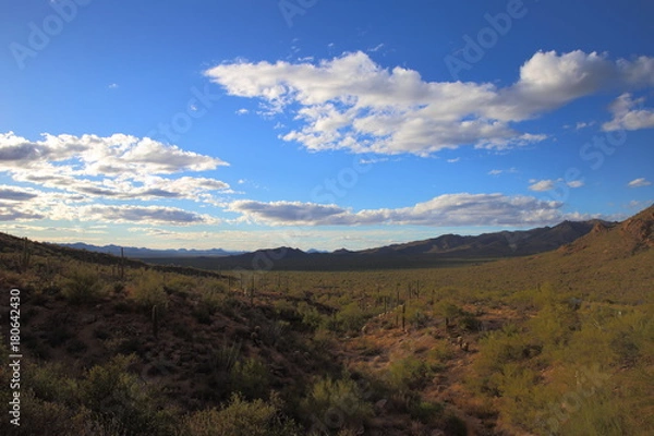 Obraz gates pass in Tucson, AZ