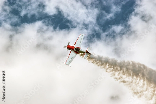 Obraz Air acrobatics