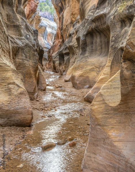 Obraz Willis Creek Canyon
