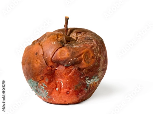 Fototapeta Old rotten apple on white isolated background