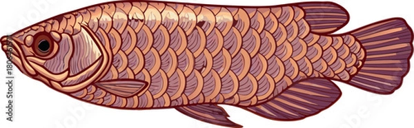 Fototapeta Simple image name: brown fish isolated on a white background