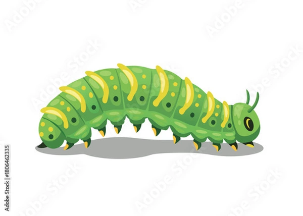 Fototapeta Cute Green Caterpillar Vector Illustration