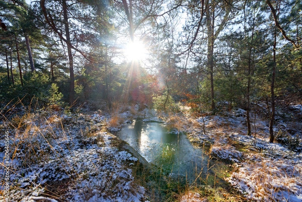 Obraz Snow and ice on the High plains Rock in Fontainebleau forest 