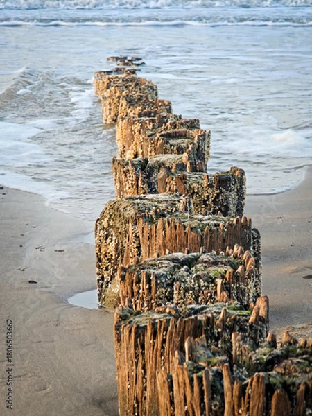 Obraz Wooden posts line the shore at sunrise, creating a striking pattern along the sandy beach