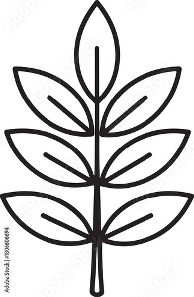 Fototapeta Minimalist black outline drawing of symmetrical branch with six pairs of leaves and central stem on transparent background