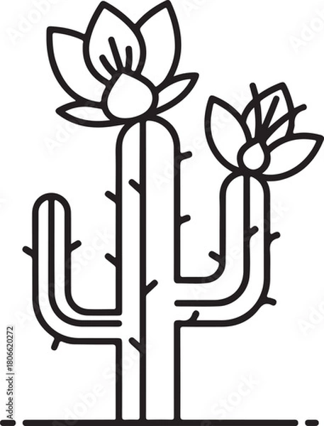 Fototapeta Outline drawing of blooming saguaro cactus vector graphic illustration representing desert flora and southwestern plant life in dry environments